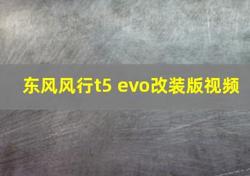 东风风行t5 evo改装版视频